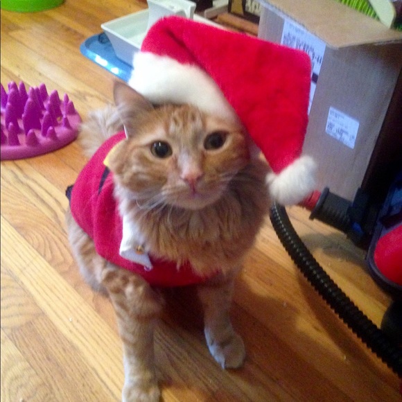 Meet your Posher, Shemia - Picture 2 of 4